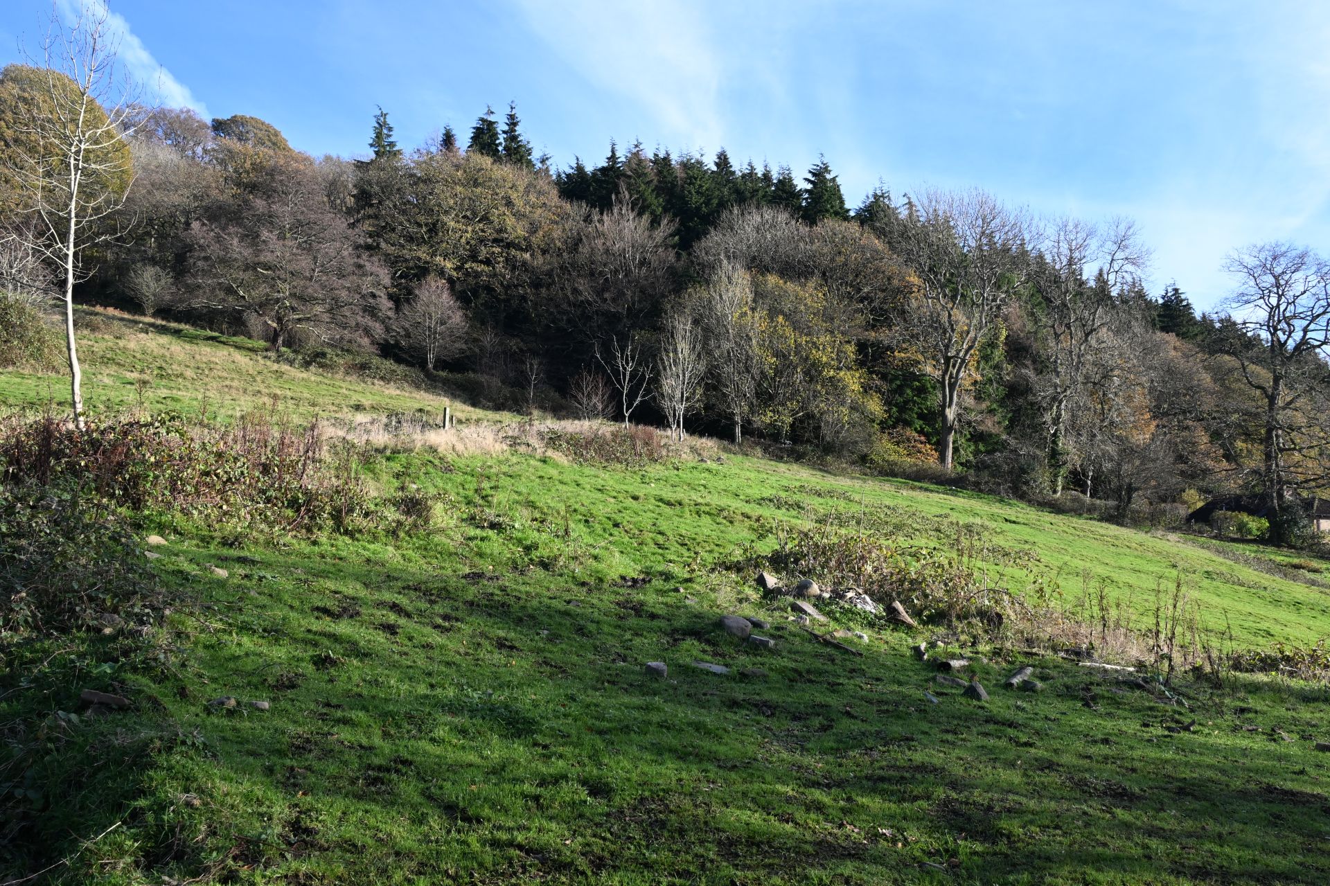 Mountain Ash- up the Mountain and down again.