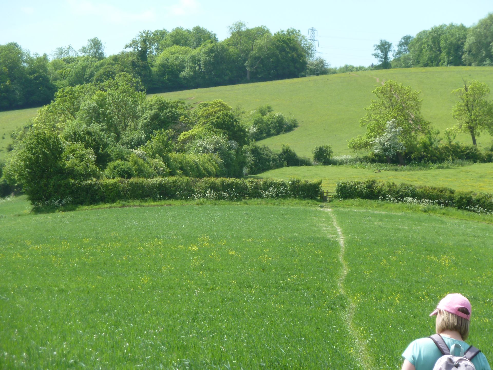 Delightful field path