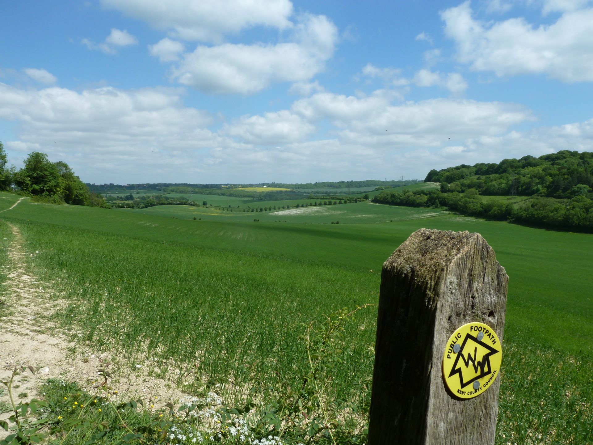 Wealdway signage on the route