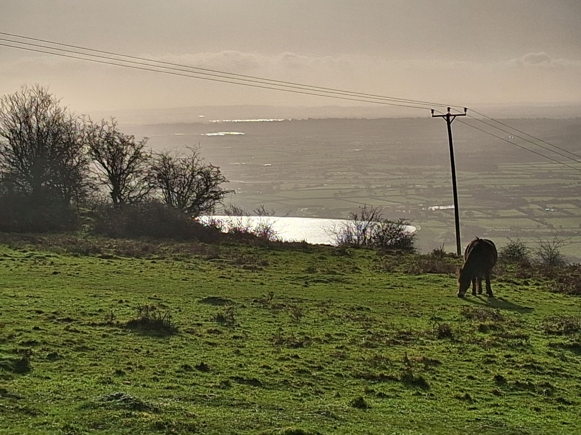 Cheddar Reservoir and the levels in early morning winter sun.