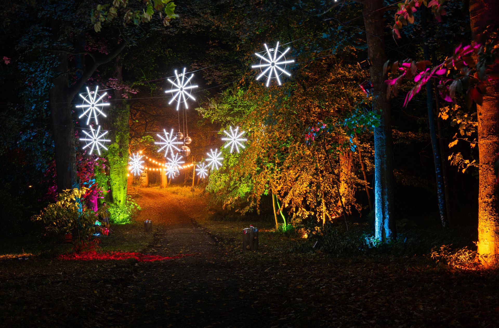 Photo 5 of the garden provided by the Swinton Estate 