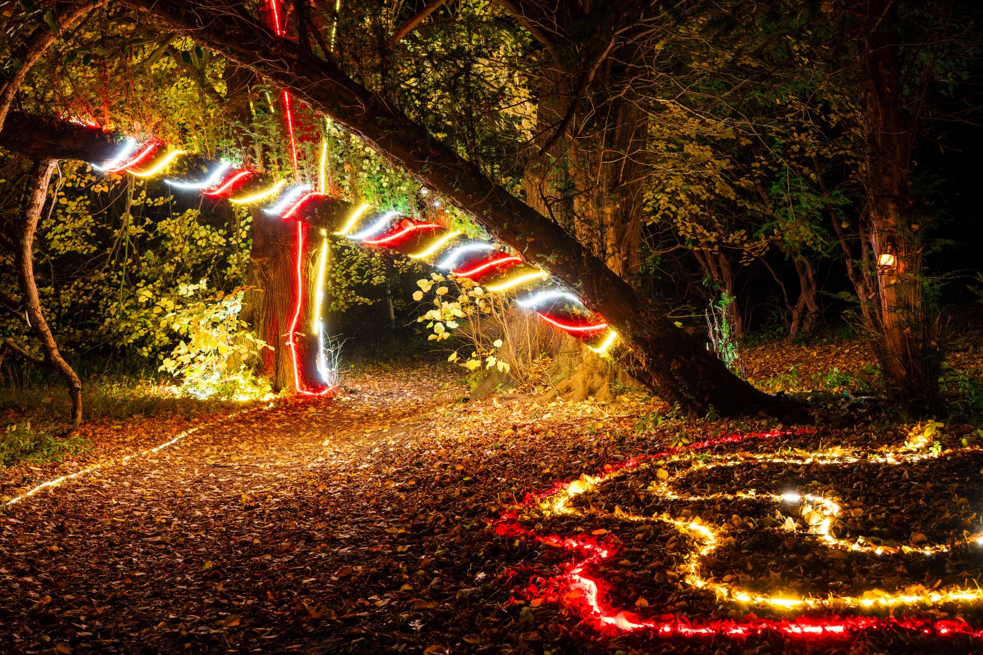 Photo 4 of the garden provided by the Swinton Estate 
