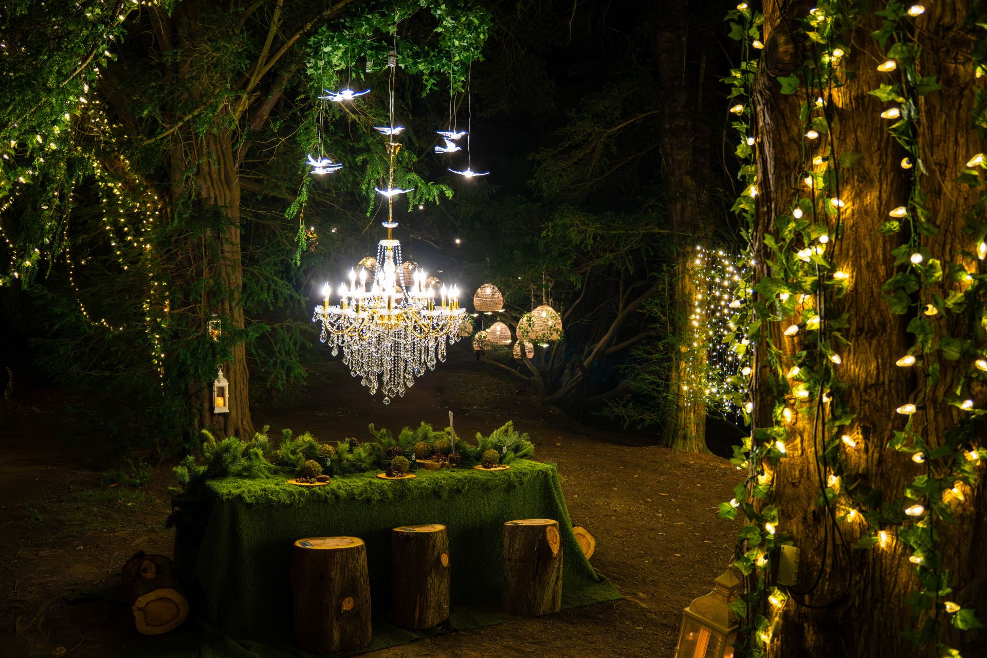 Photo 2 of the garden provided by the Swinton Estate 