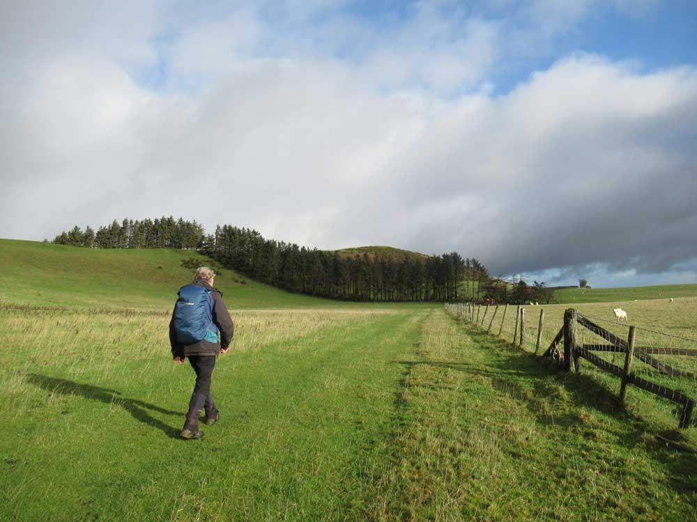 A walker walking along a green path.