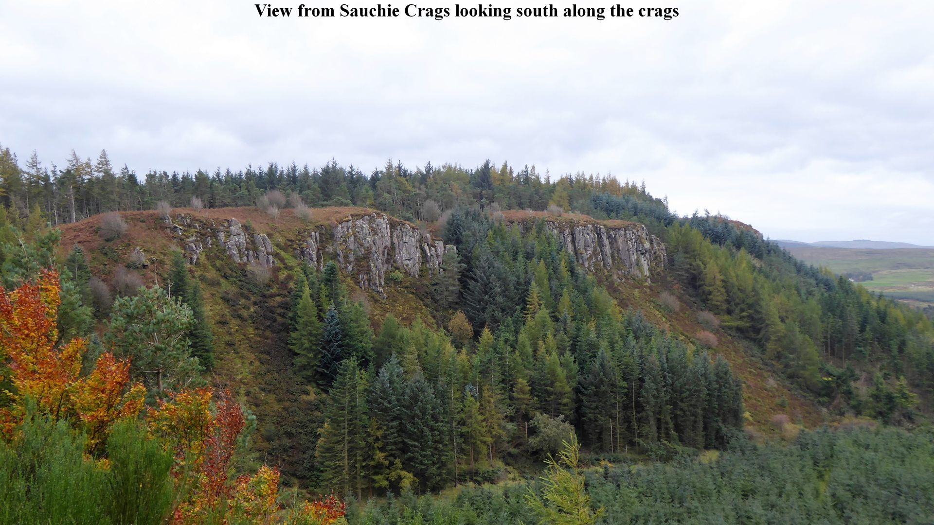 View from Sauchie Crags looking south along the crags.