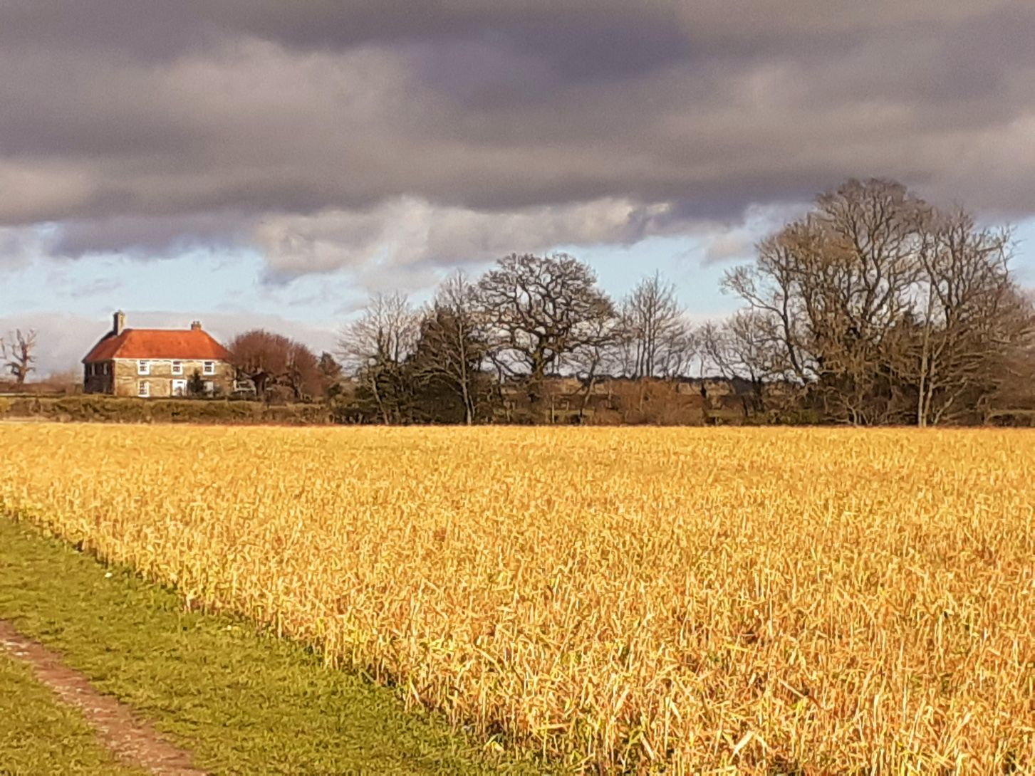 Lodge Farm in winter