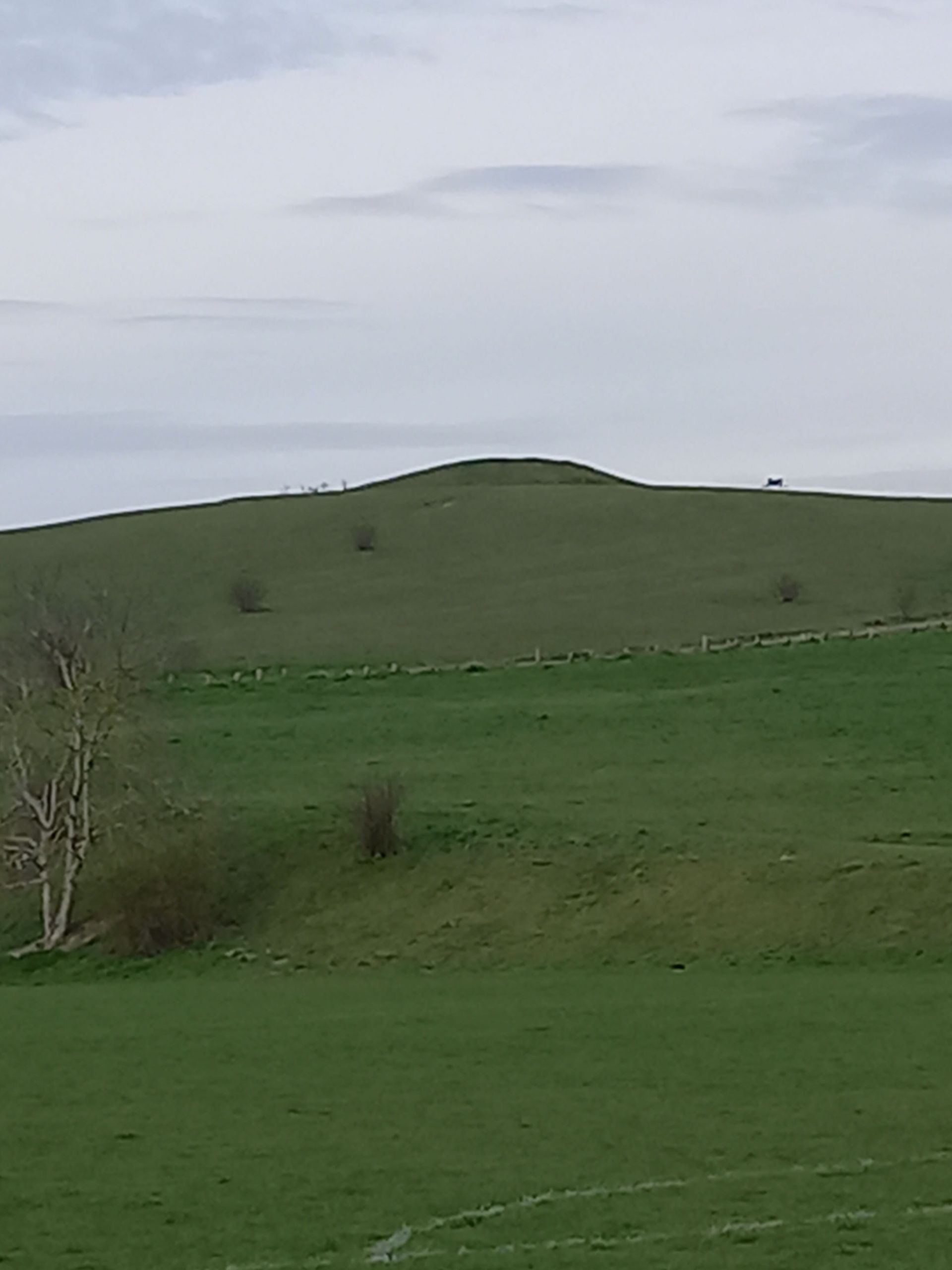 Therfield Heath One Hill Barrow