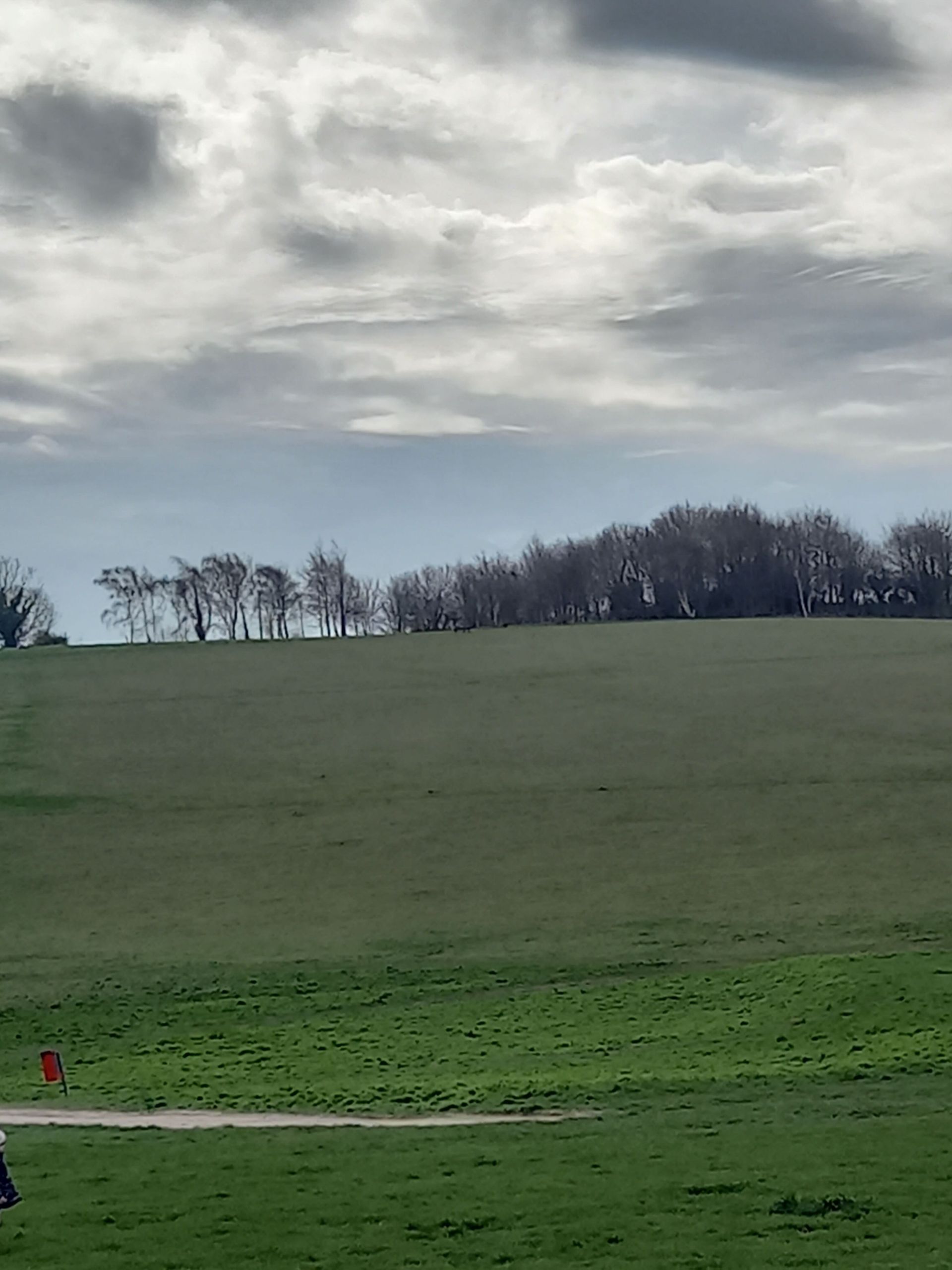 General view of Therfield Heath