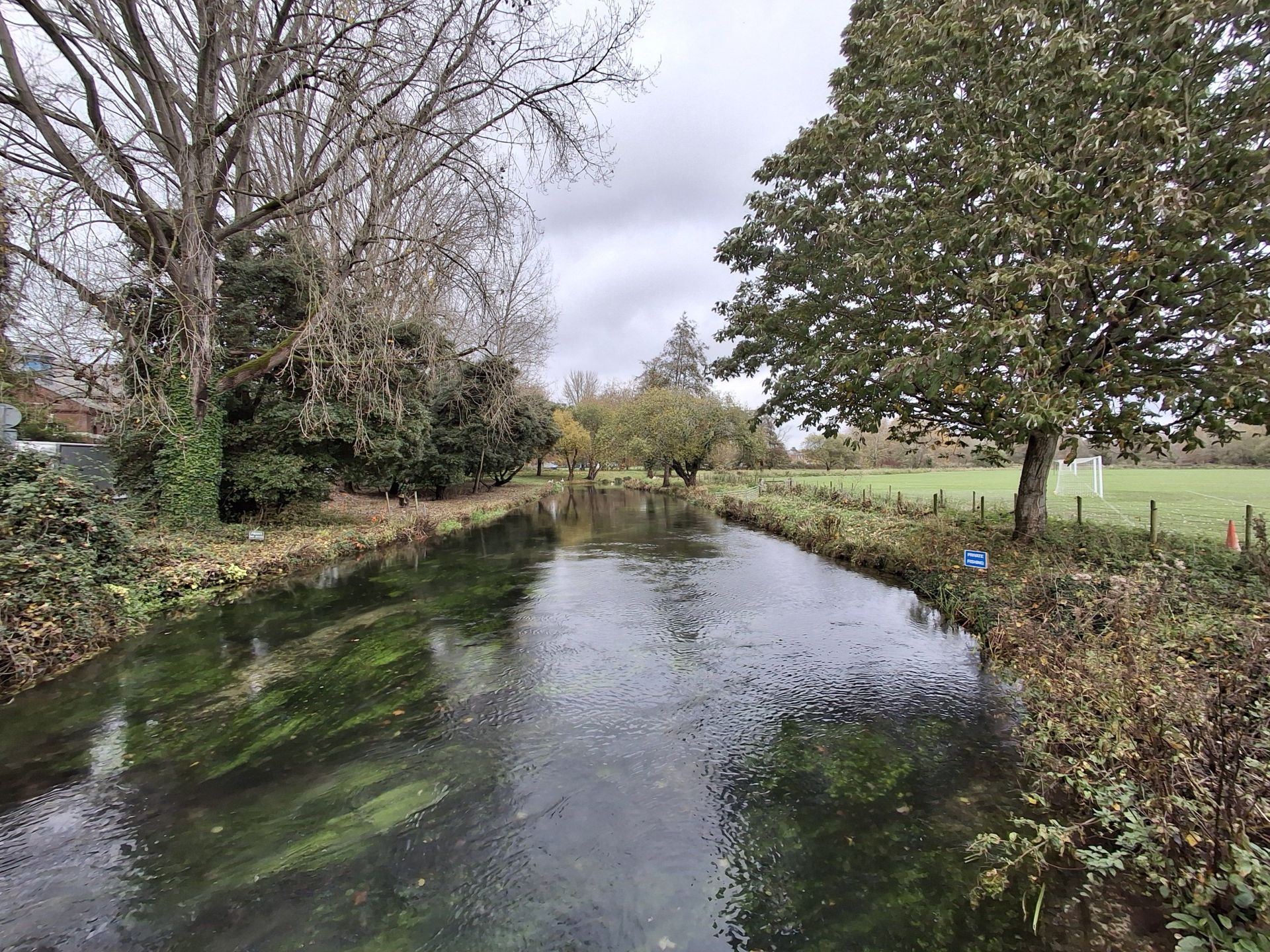 The River Itchen on the outskirts of Winchester.