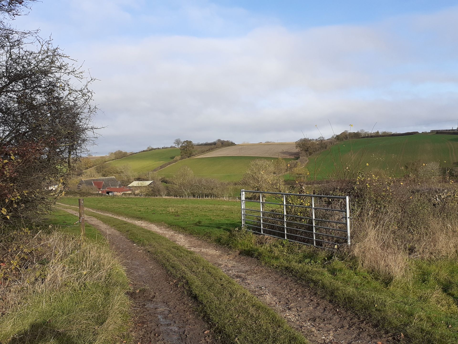 Track approaching Gallowgate Farm