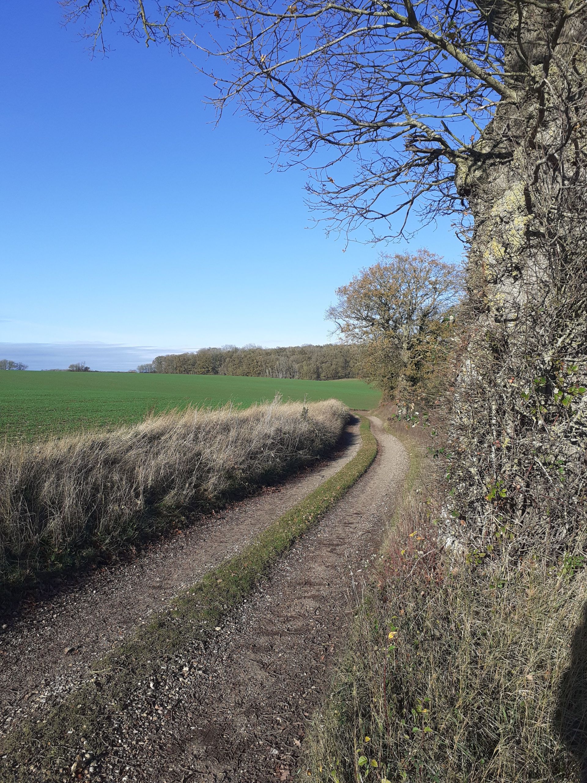 The track leaving Hawkedon