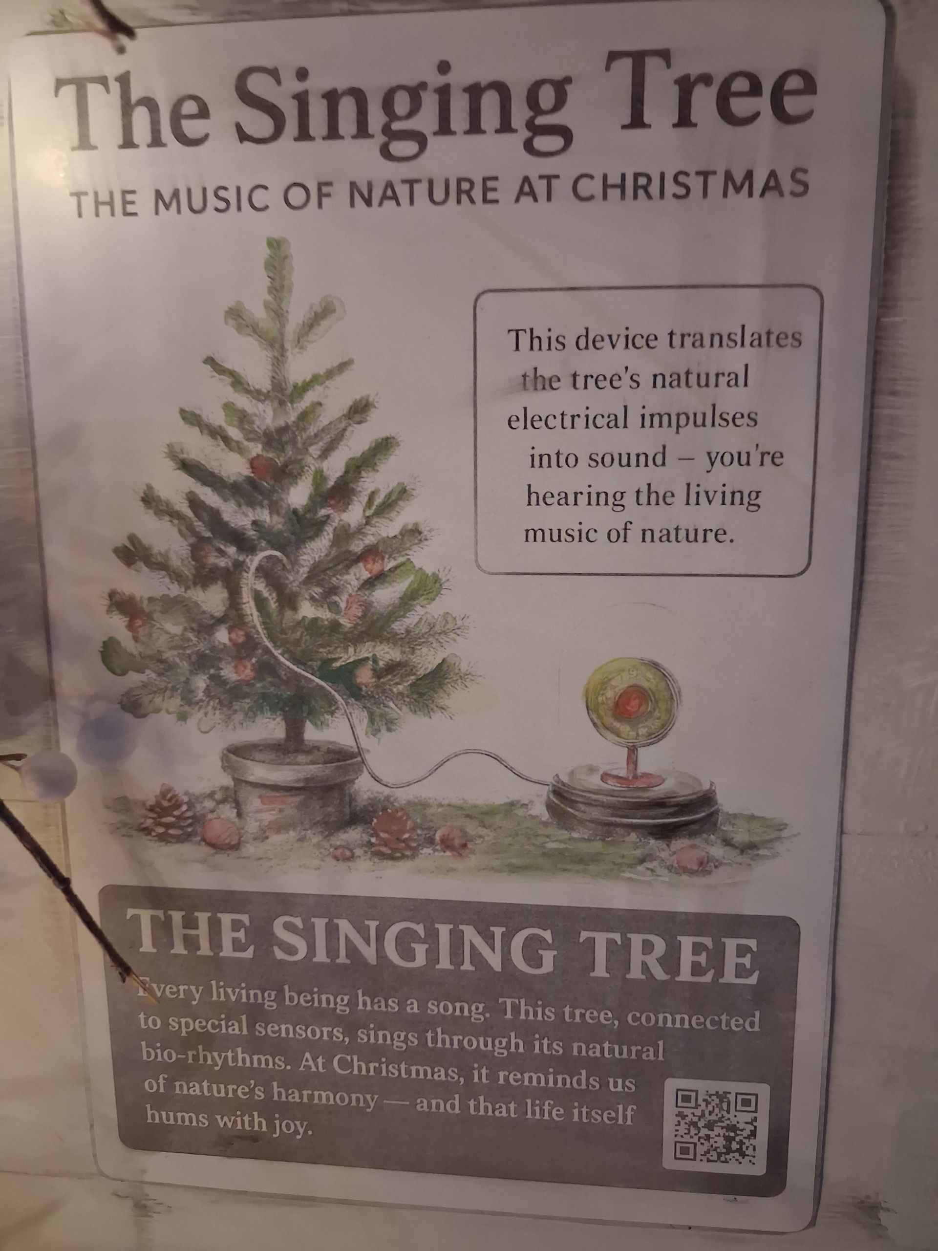 Singing tree...