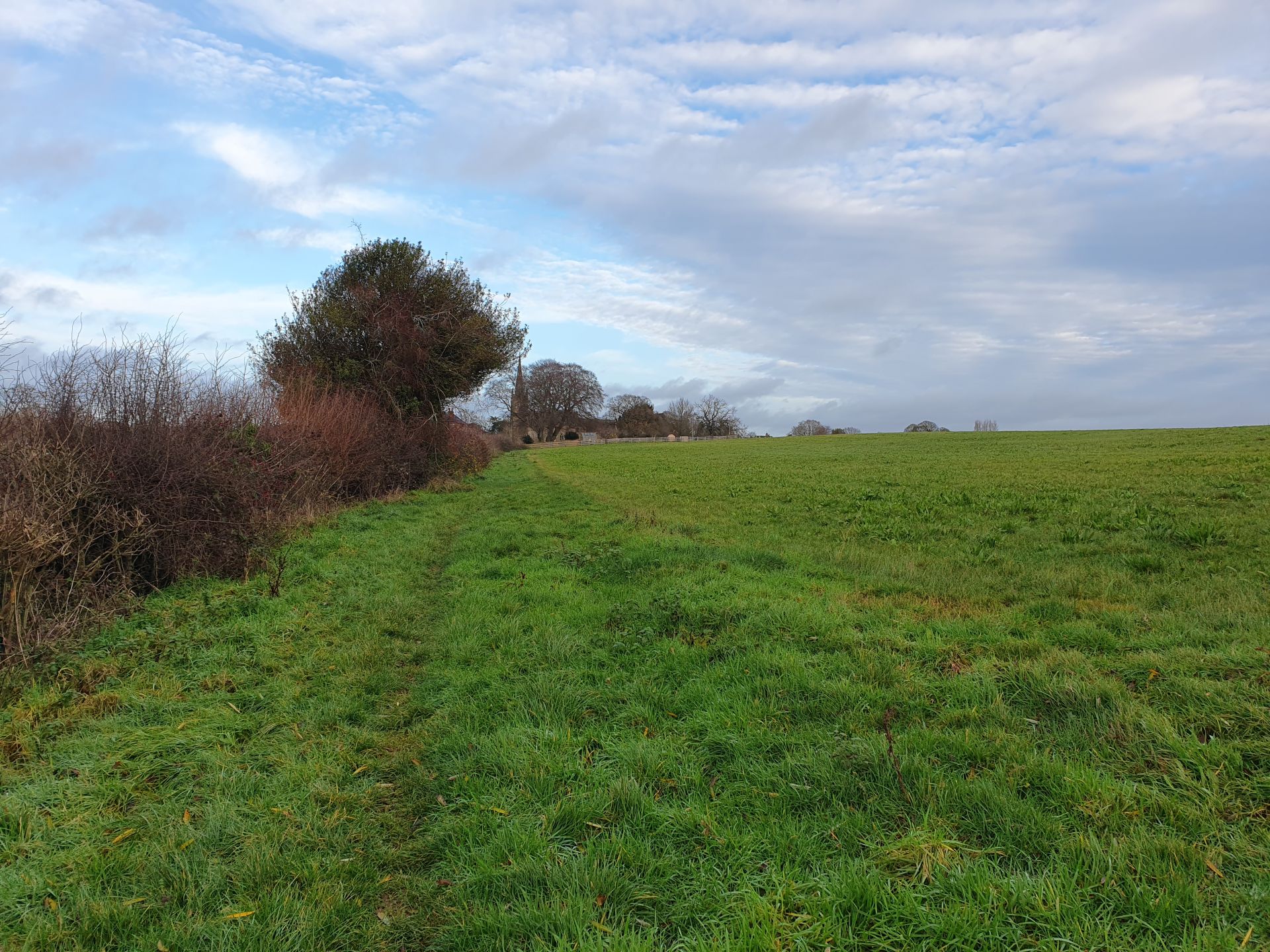 Pathway along field boundary