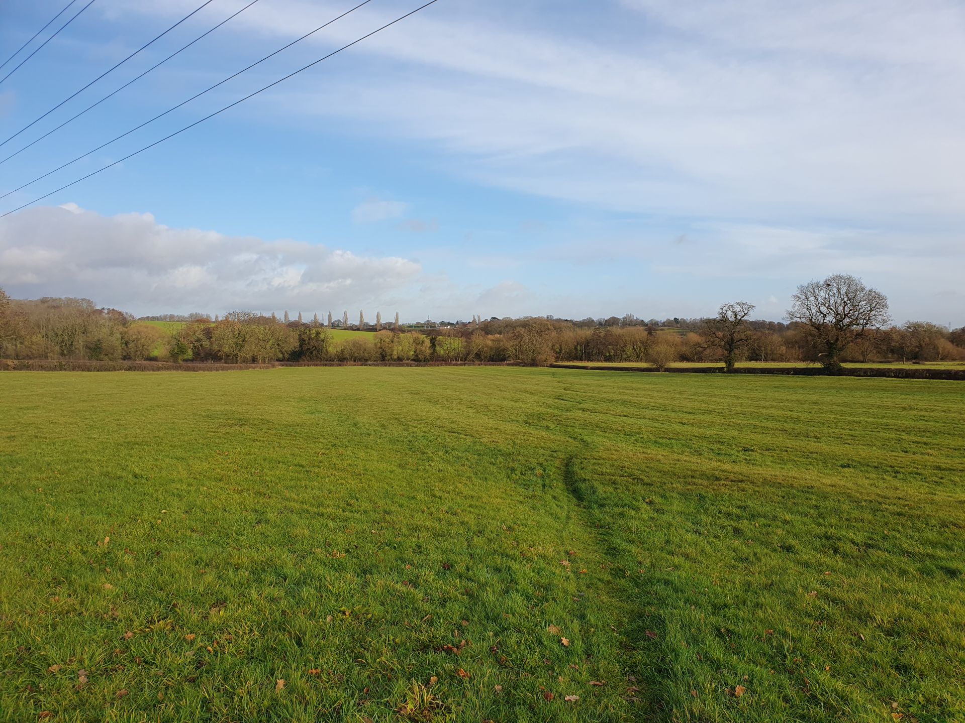 Wiggly old field path