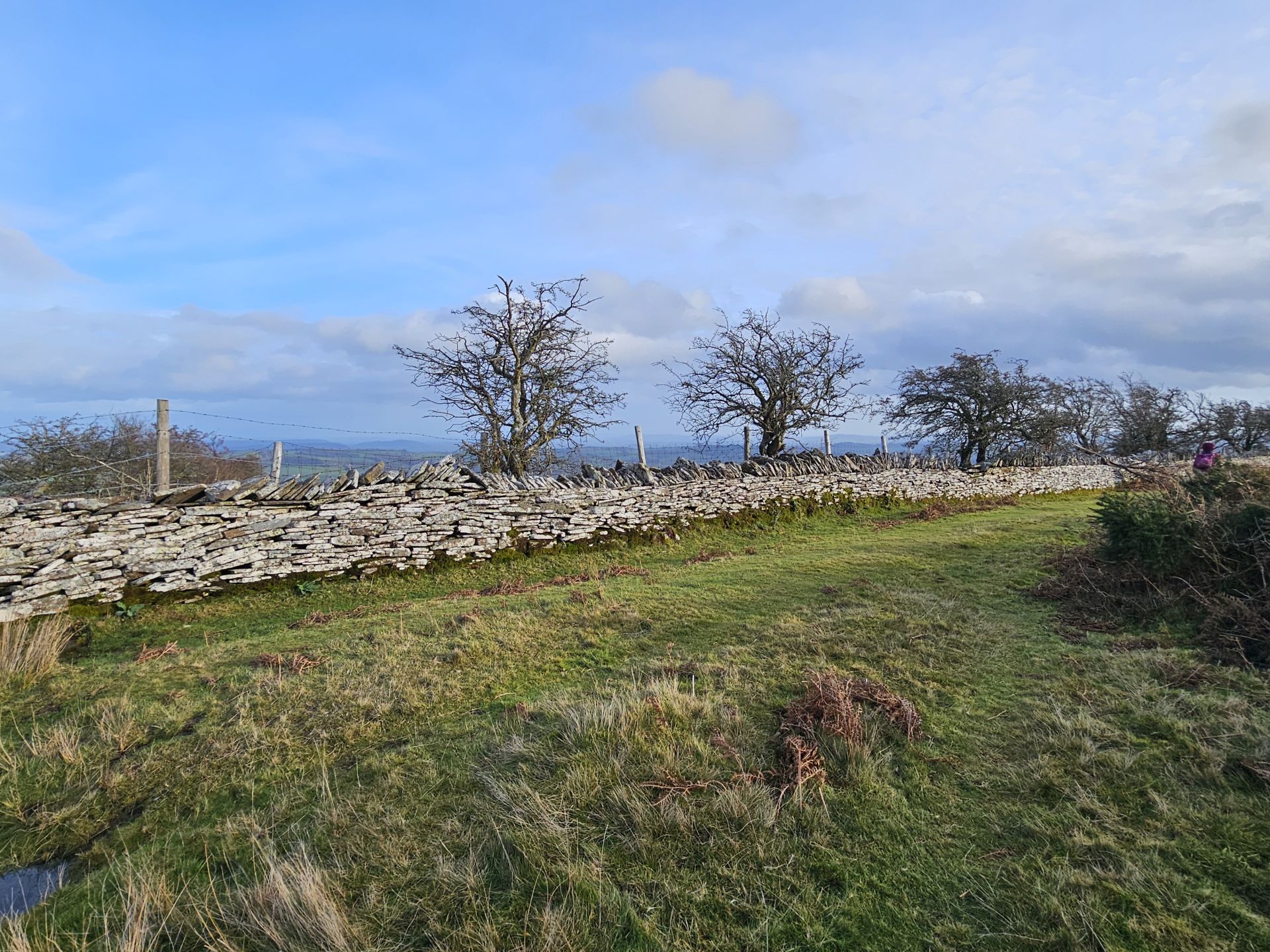 dry stone wall on Vagar Hill