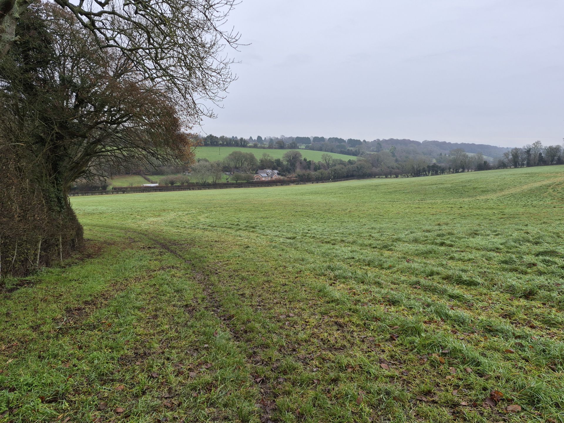 Far reaching view on Chesham walk