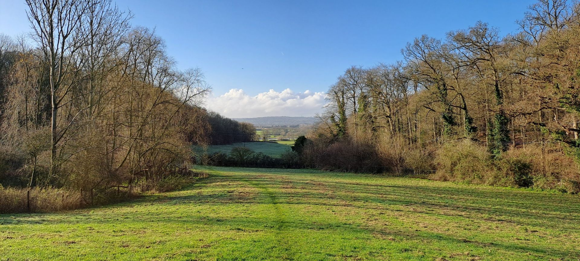 View down between woods towards the River ThamesRiver
