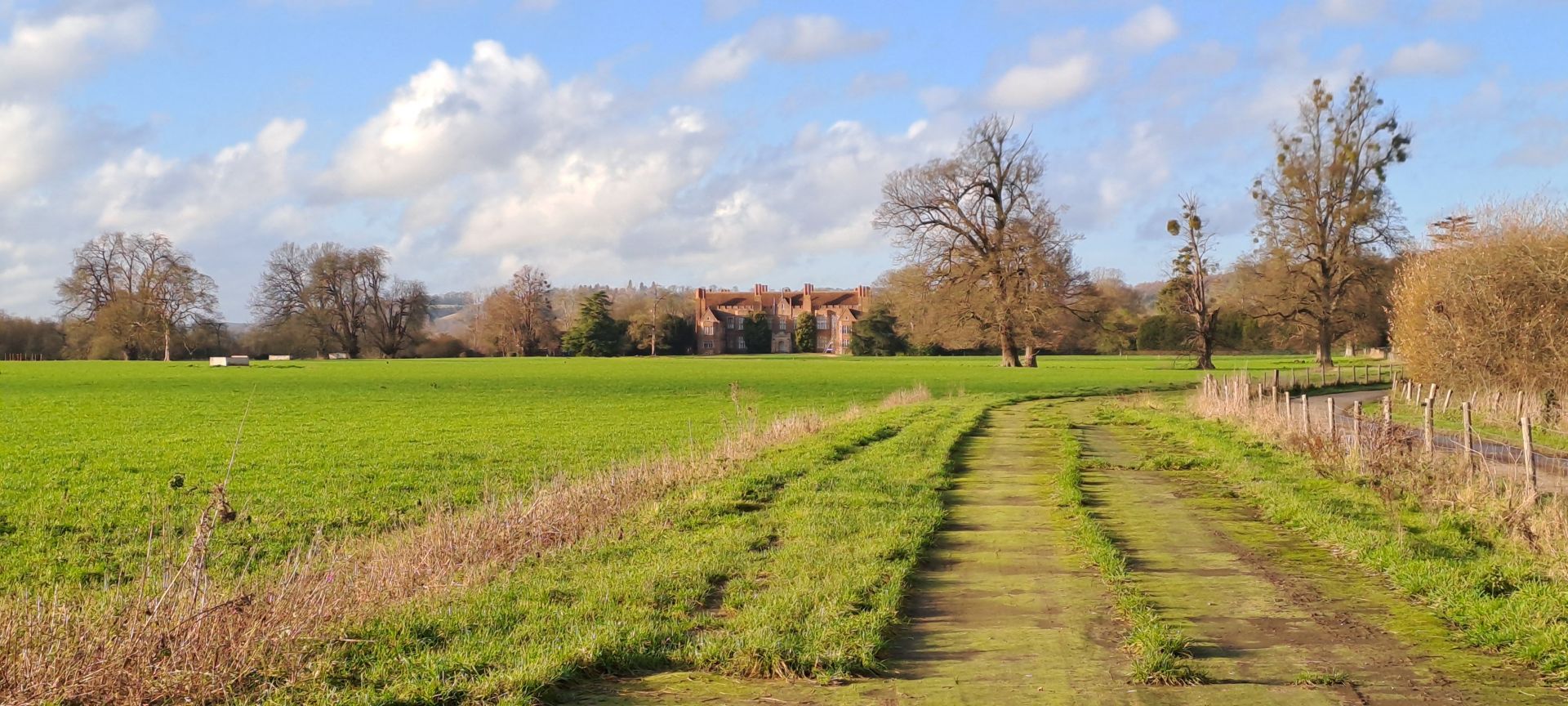 Mapledurham House in the distance