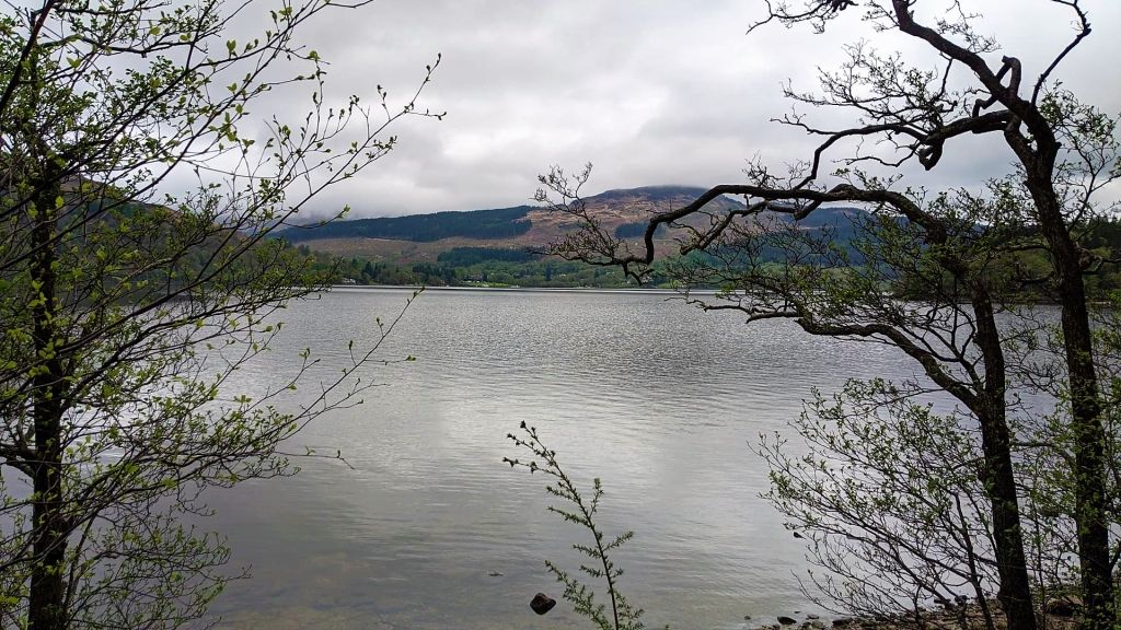 The view south from the West Highland Way over Loch Lomond to Rubha Mor.