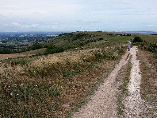 The South Downs Way, east of Ditchling Beacon