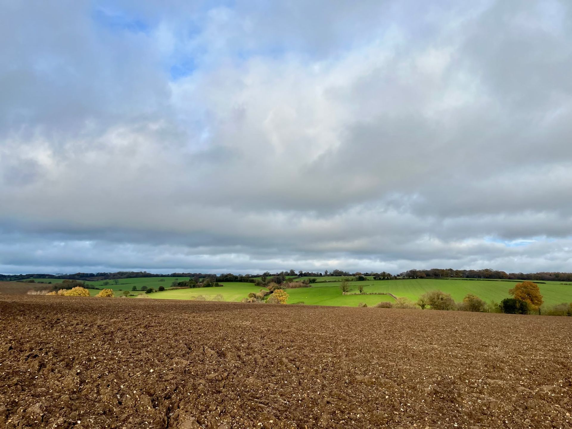 Rolling rural countryside