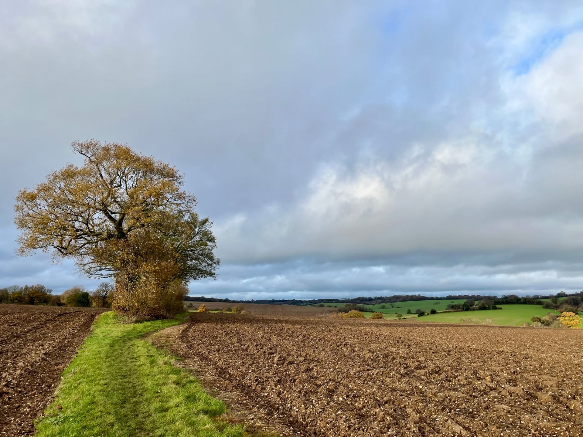 A field path leading towards a valley