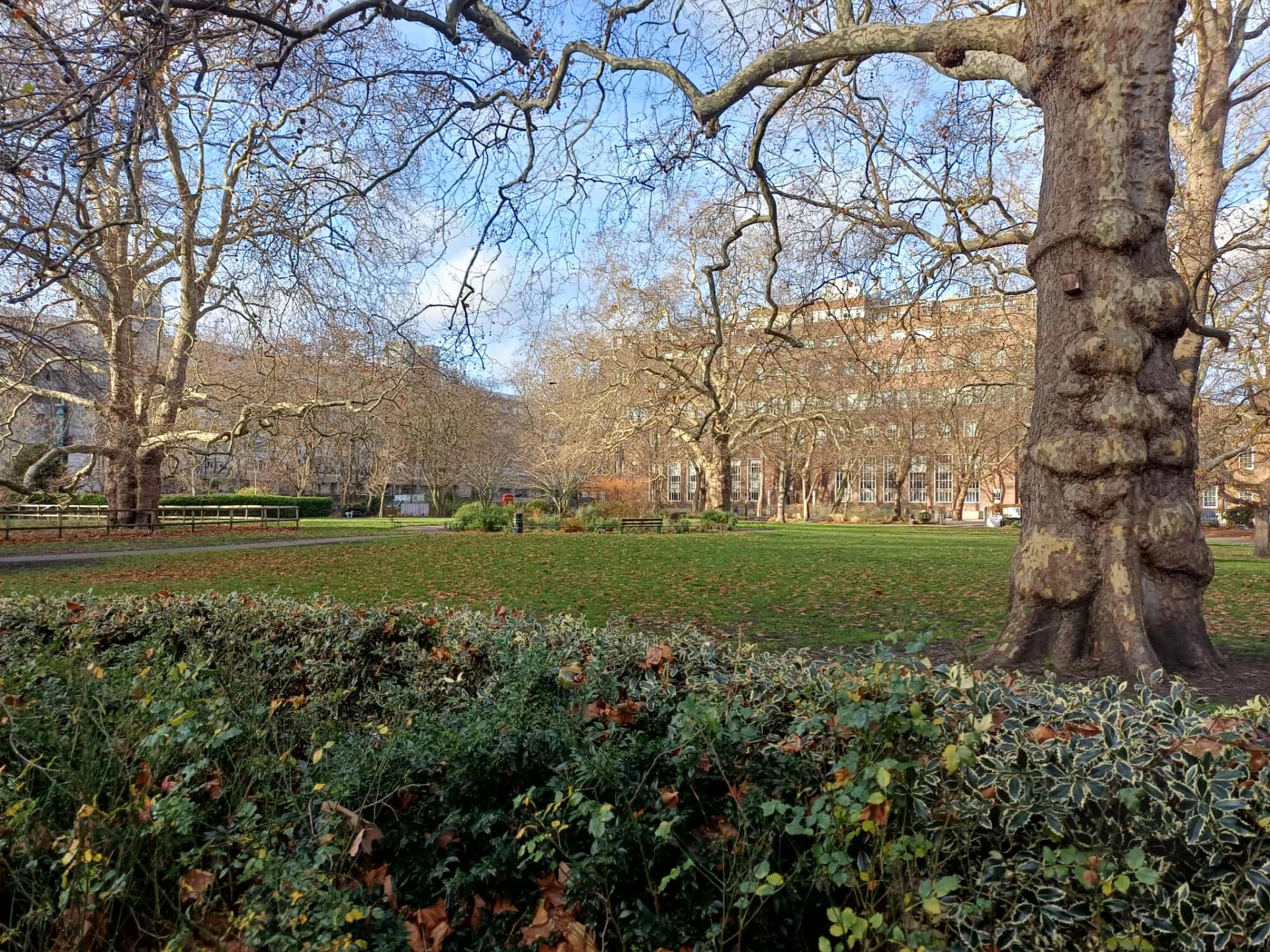 Bloomsbury Square Gardens