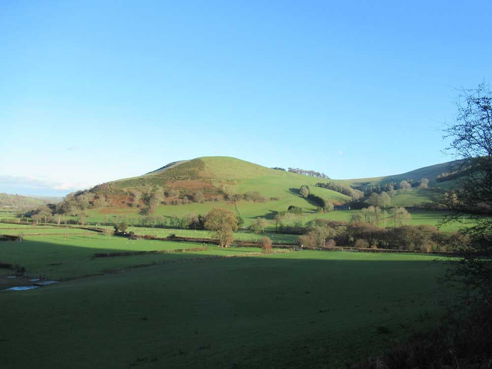A distant hill in the sunshine.
