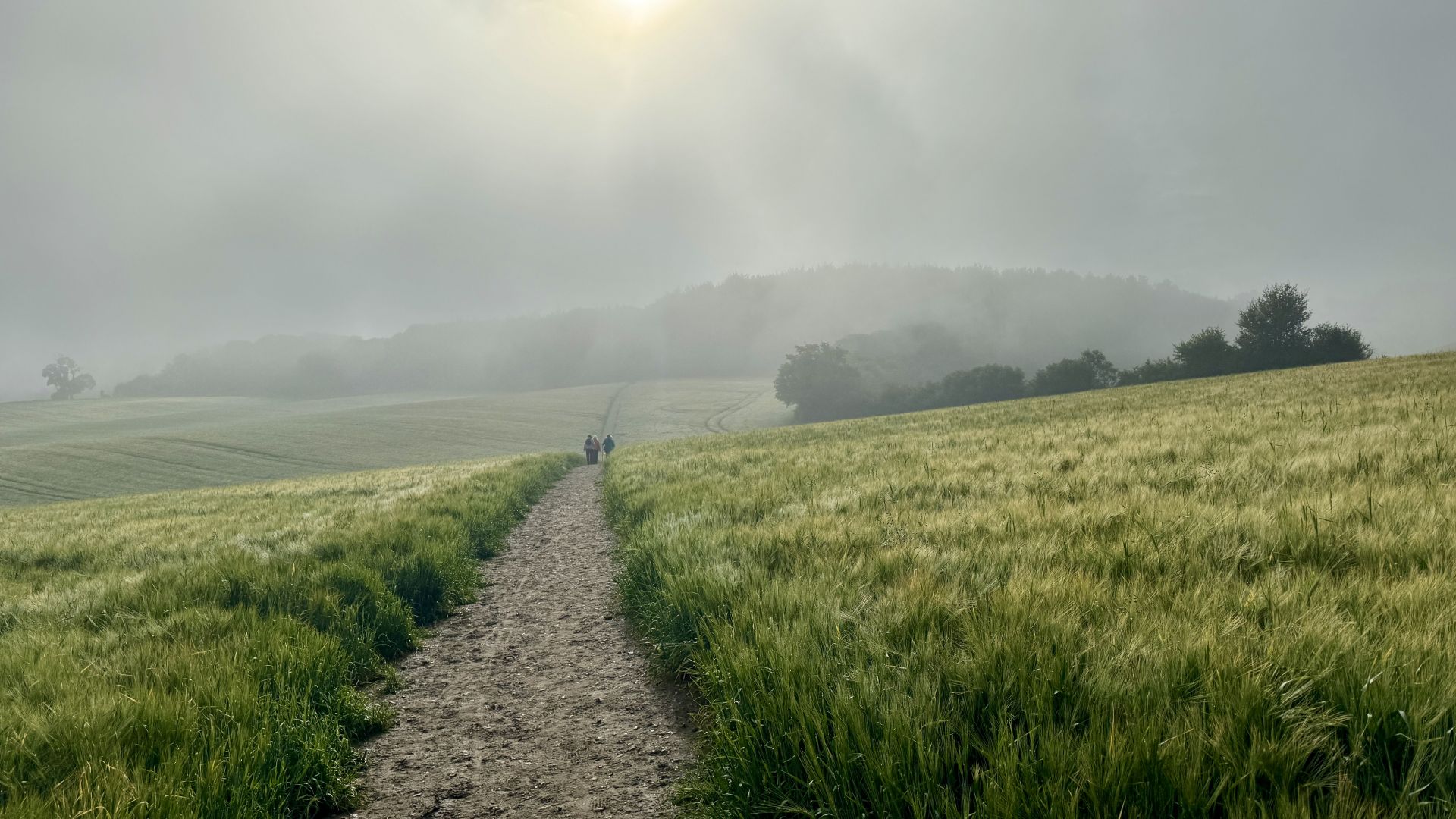 View along the route