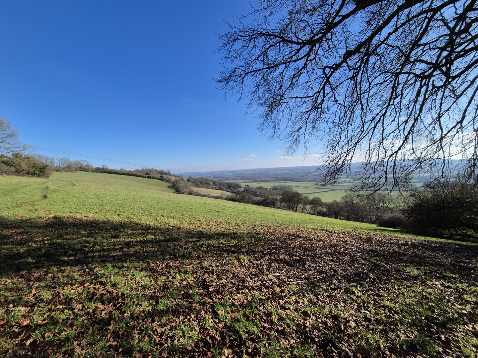 A view of Ide Hill fromthe North Downs Way