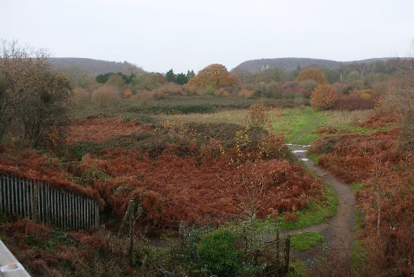 View at northern end of walk