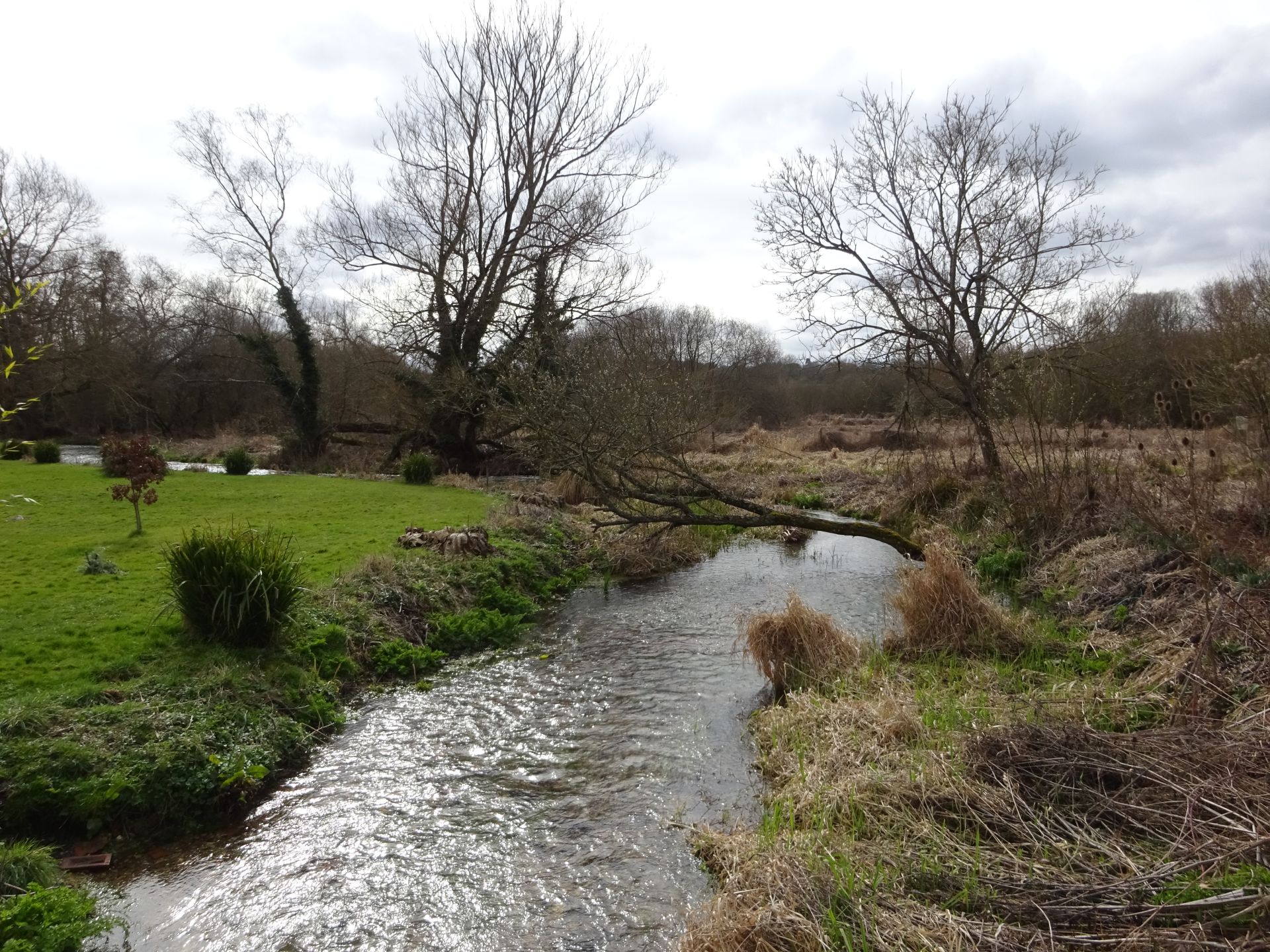 Winterbourne Stream