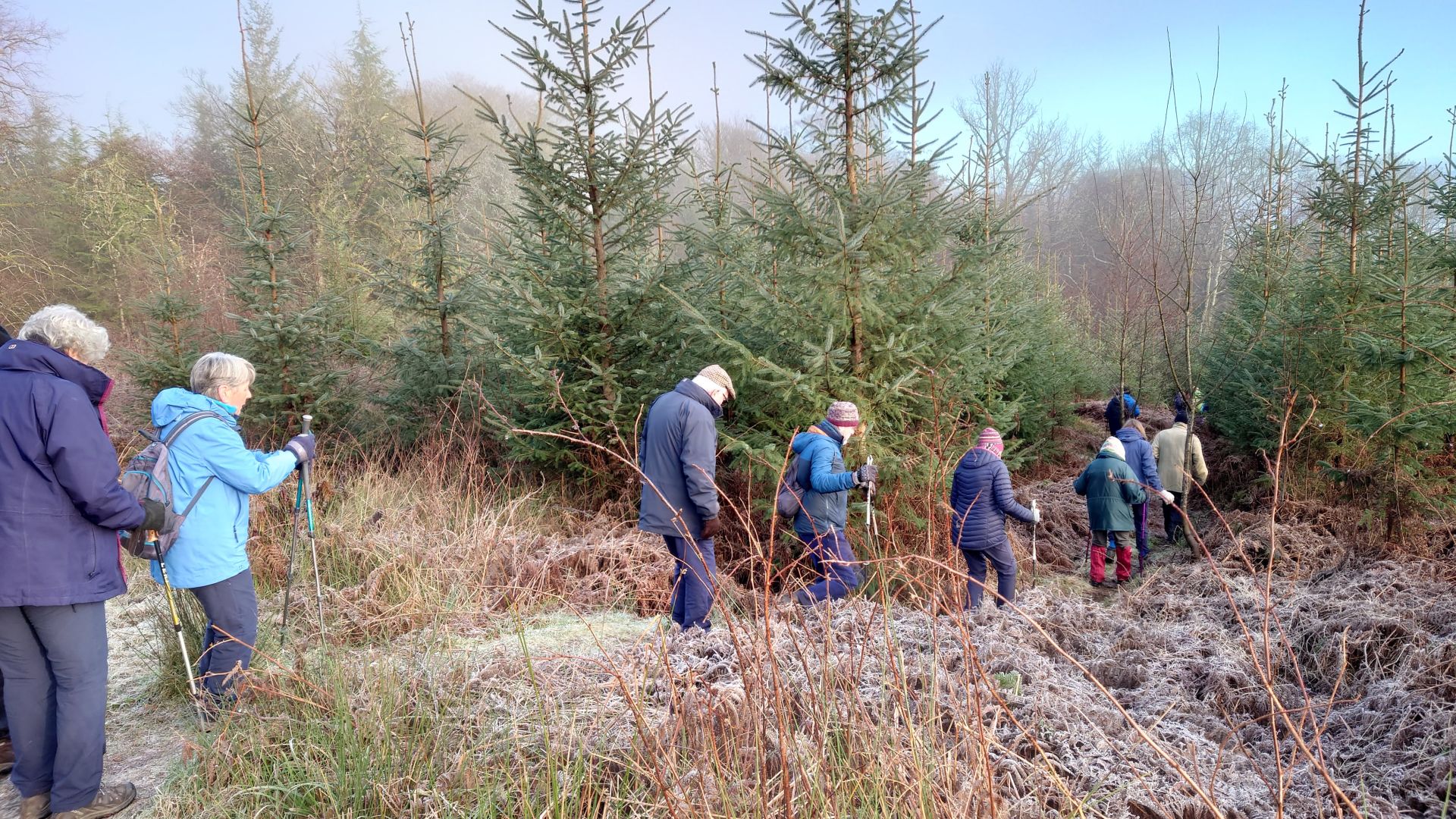 Ramblers Start the path that descends in to woodland, towards Loch Fyne