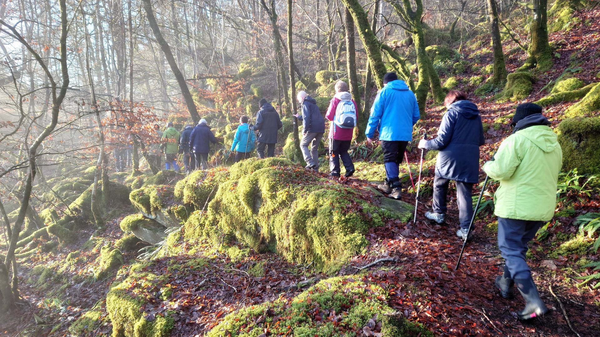 Ramblers walking through the woodland path