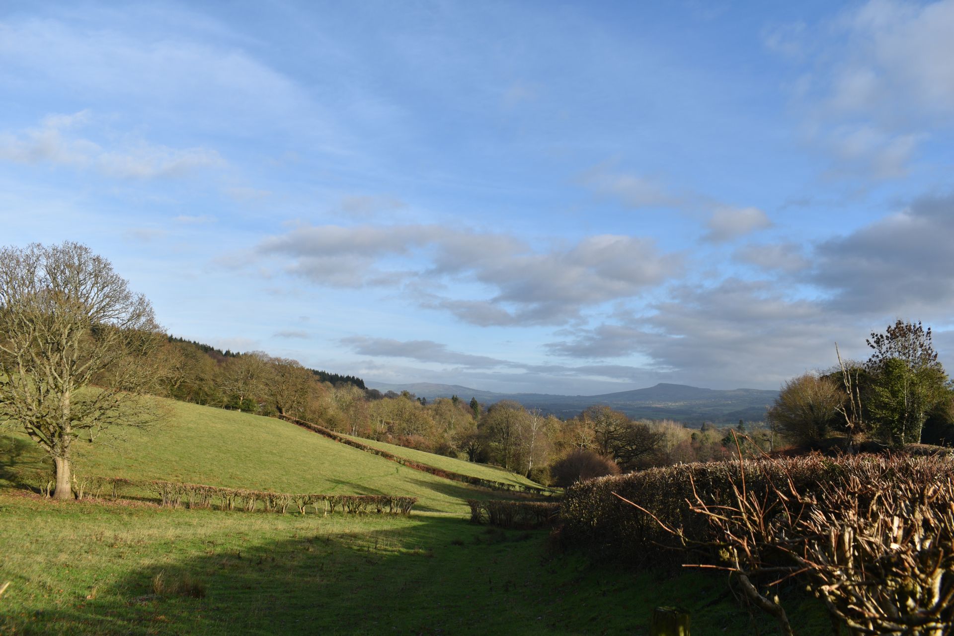 another view of hills