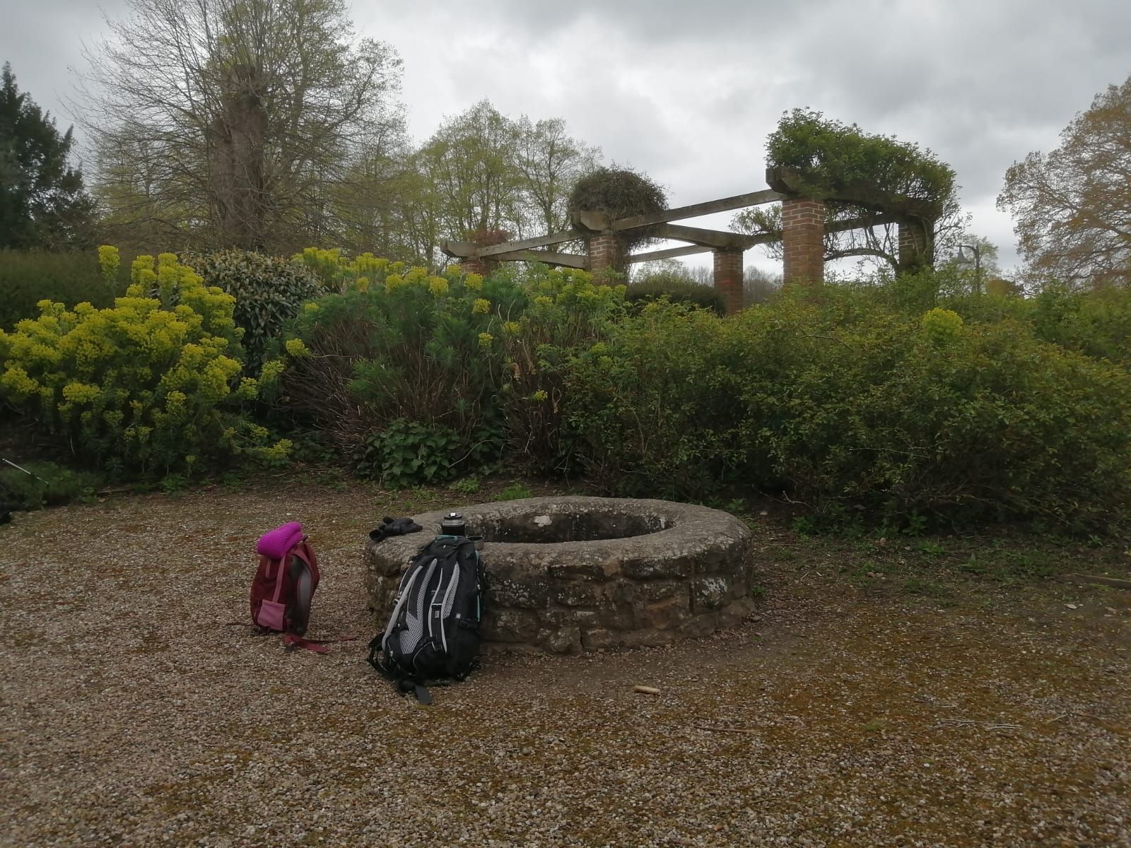Rufford Abbey Garden