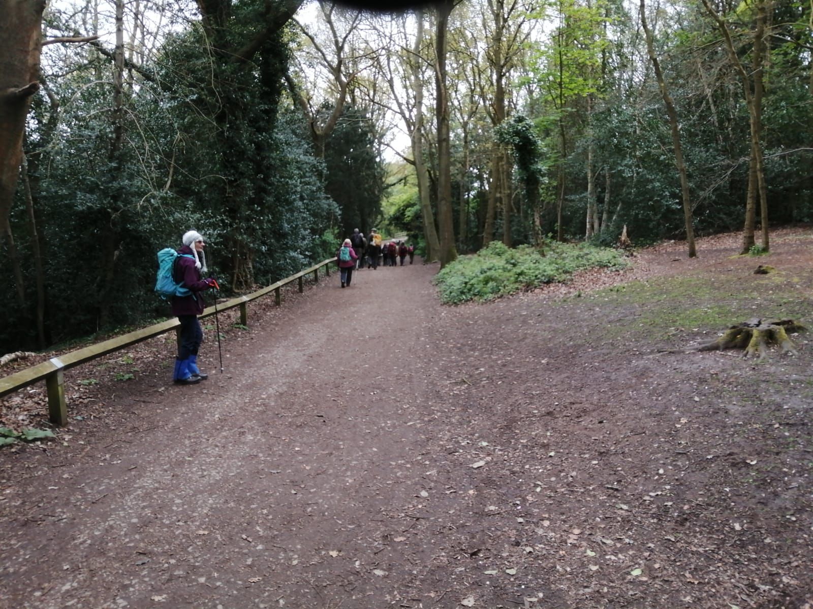 Rufford Abbey Grounds