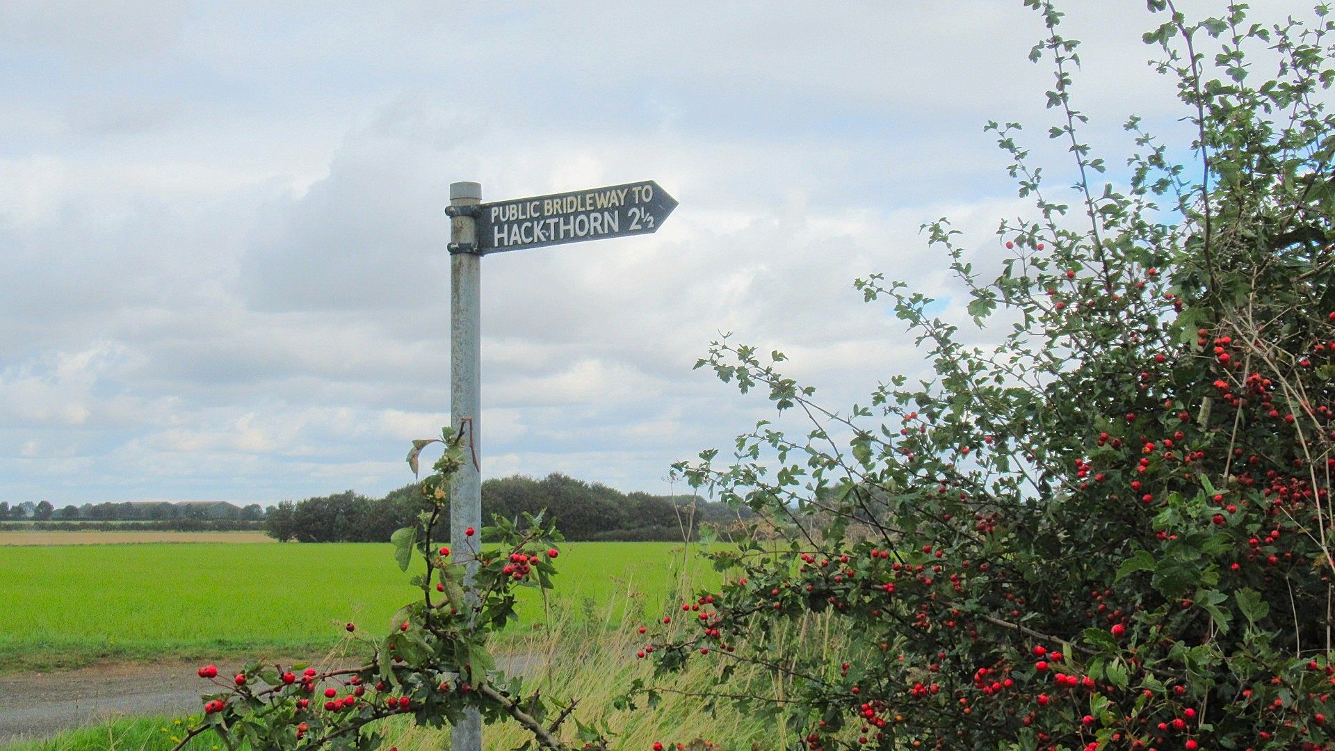 Hackthorn sign