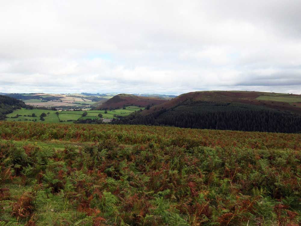 Views of hills in the distance.