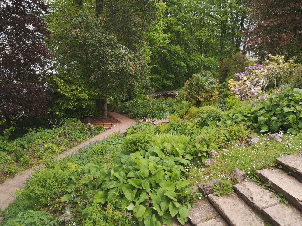 photo of Homeyards botanical Gardens in Shaldon