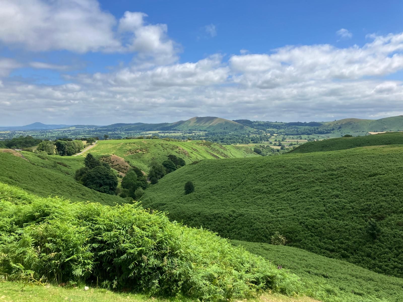 The Longmynd Foothills