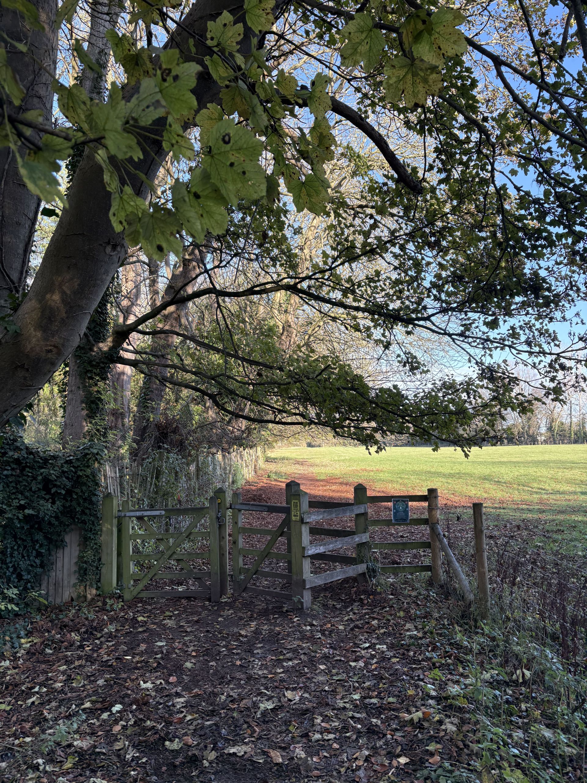 Field leading to Topcliffe Mill