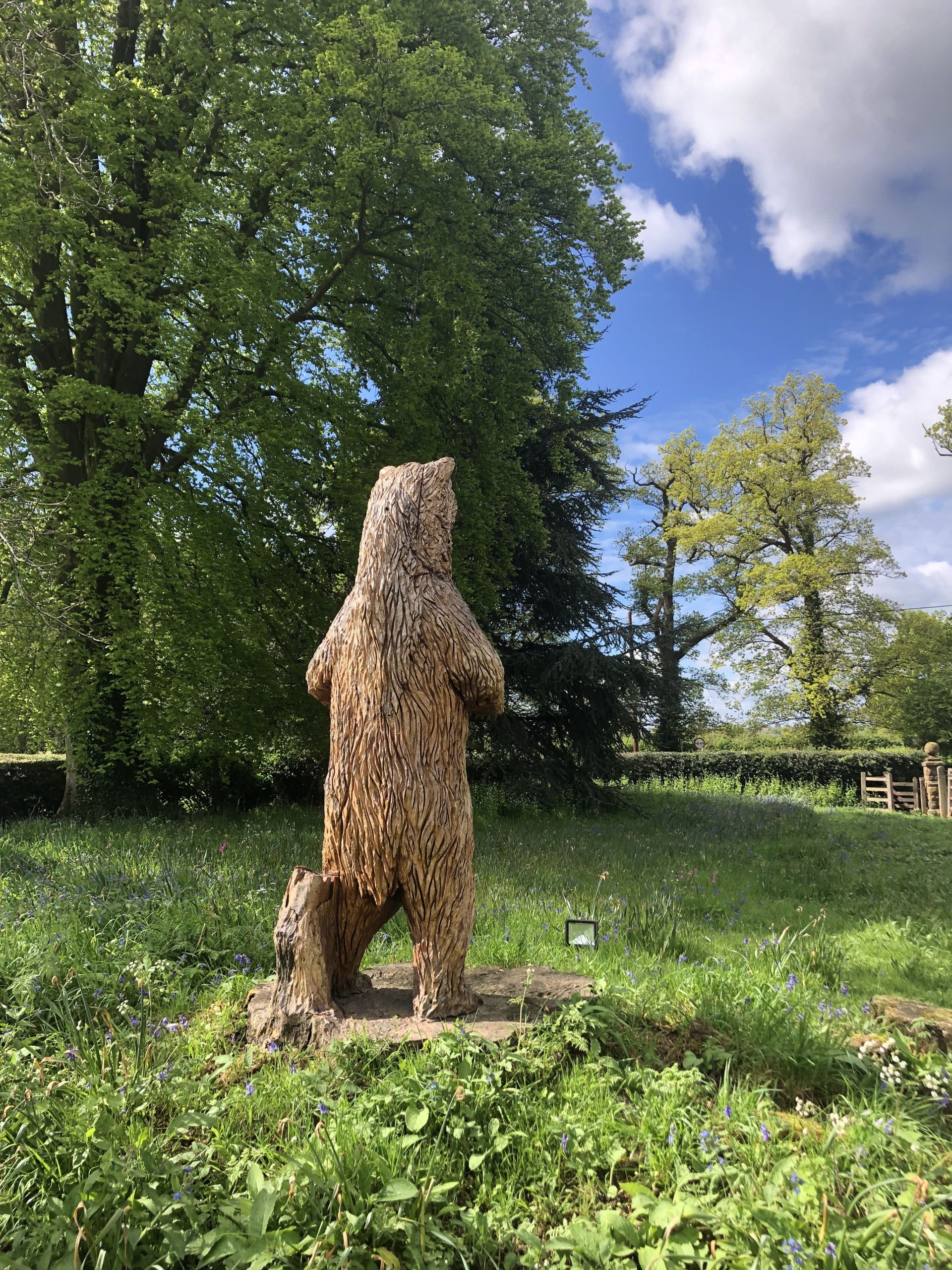 Berkswell Bear (tree sculpture)