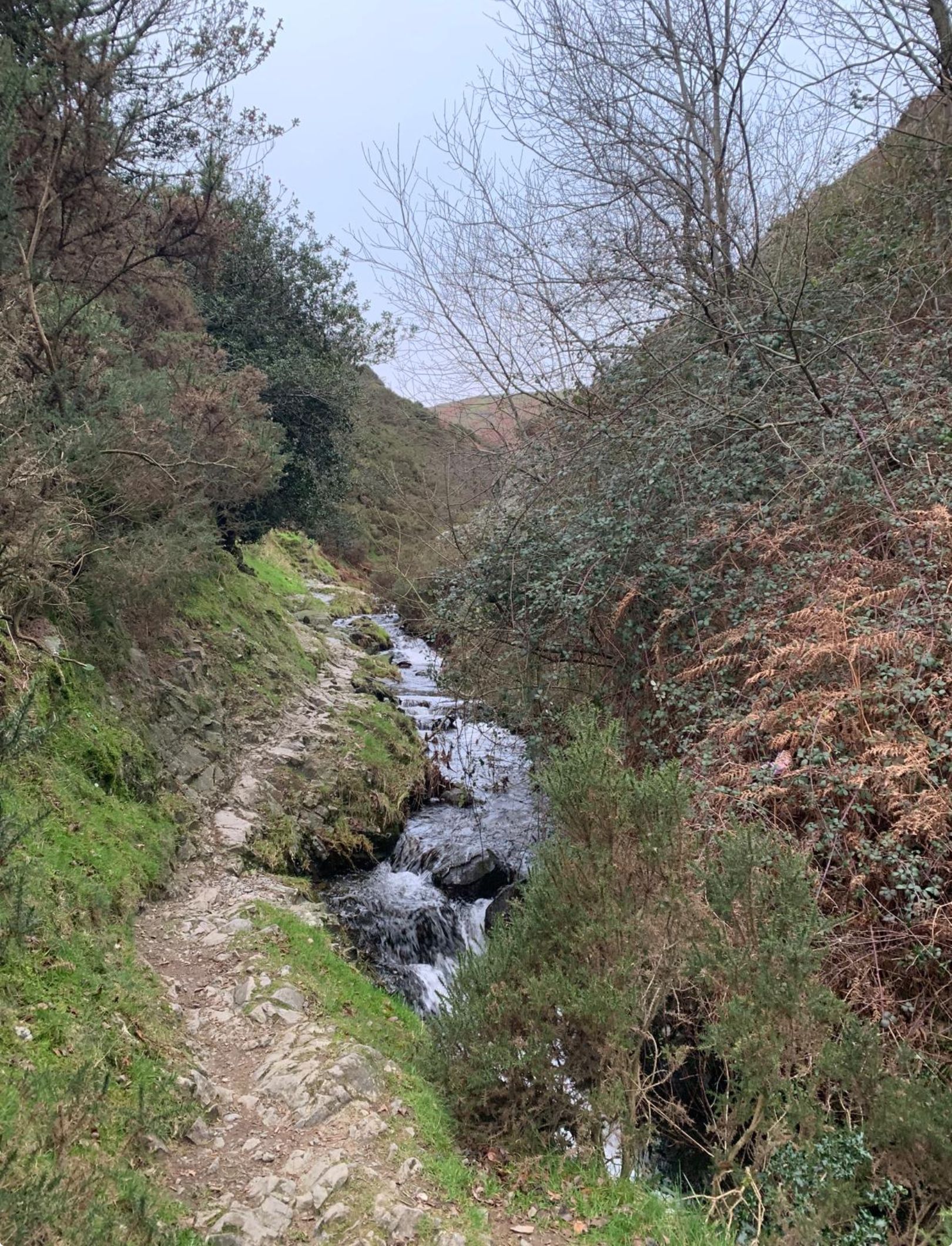 Rocky path beside the stream.