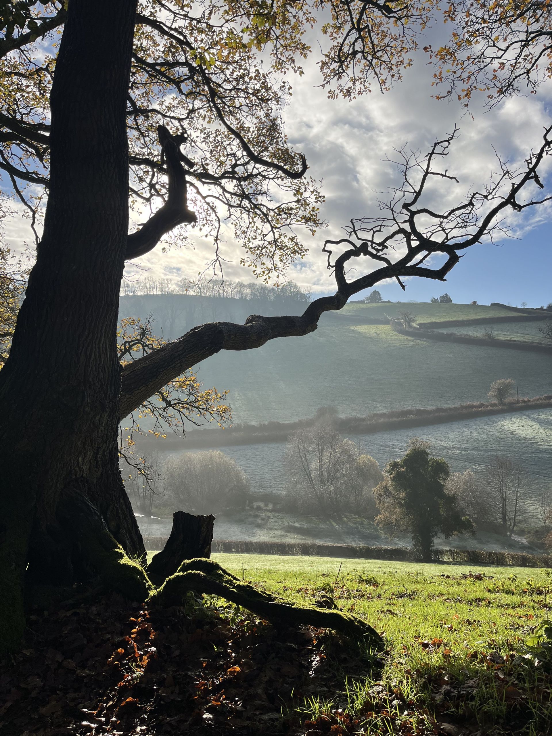 It is lovely when the sun is shining