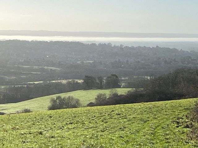 Foggy view from the brewery