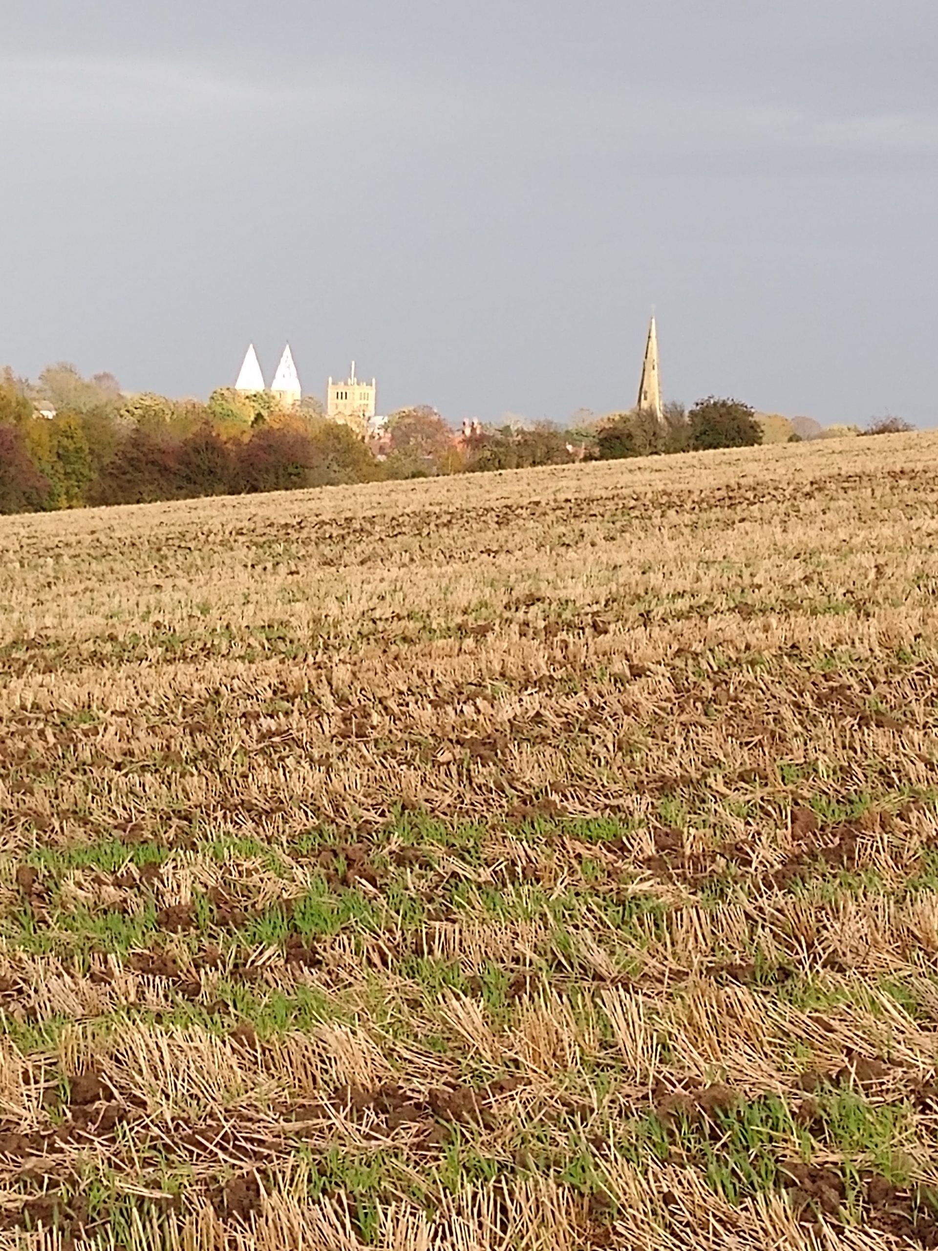A distant view of Southwell MInster