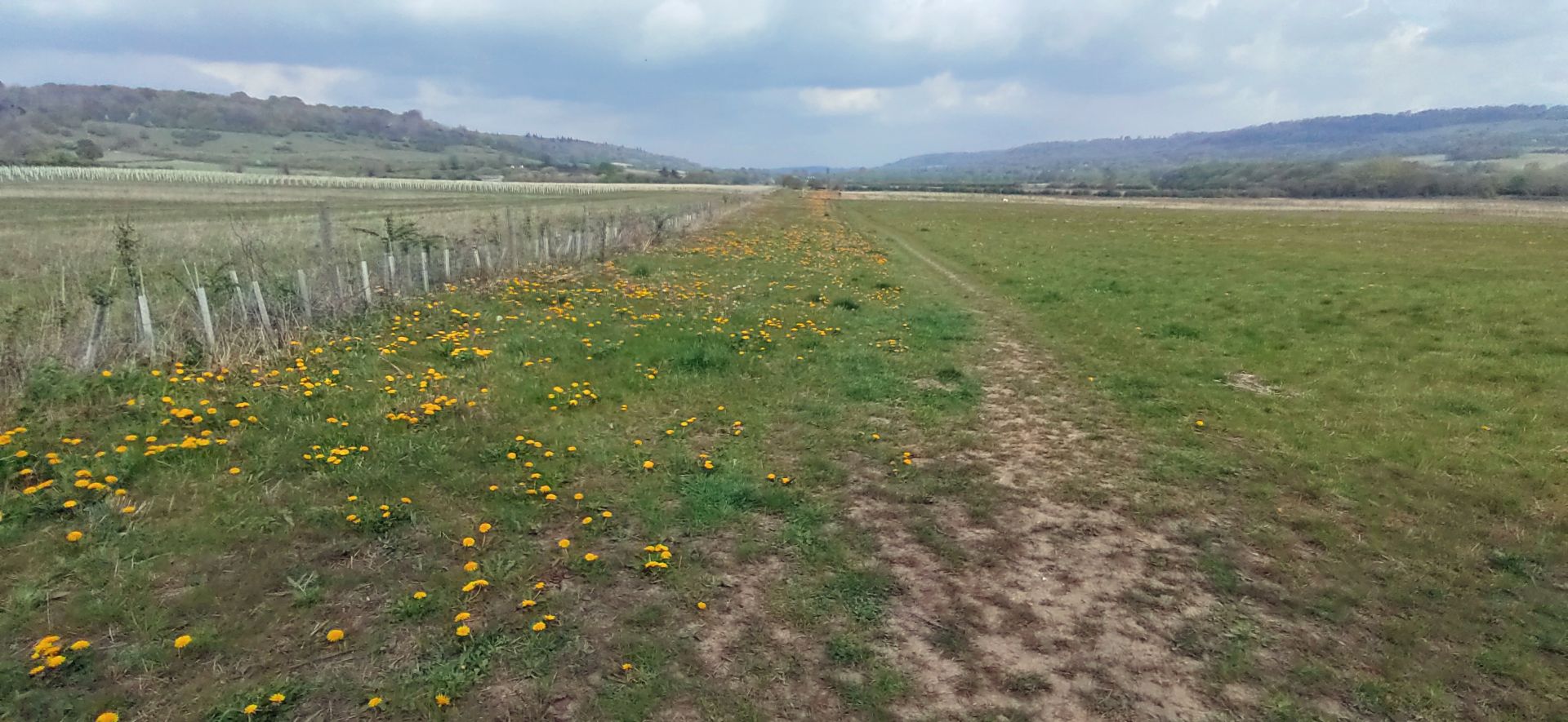 Looking North up the Darenth Valley