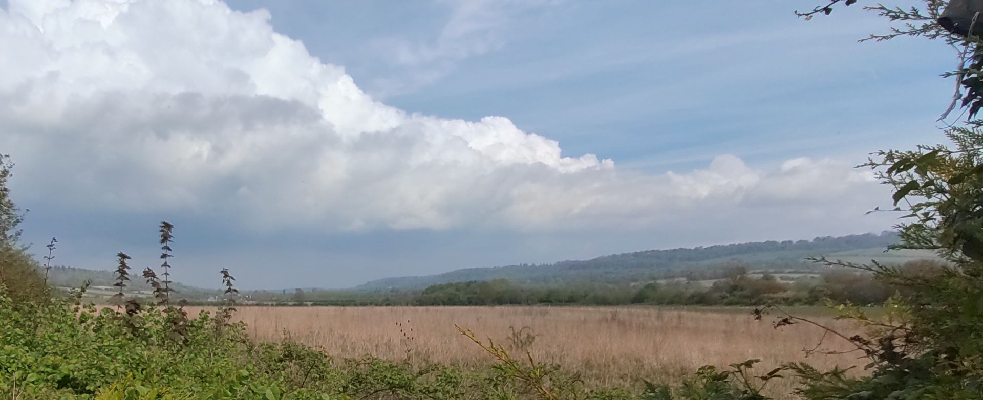 View from pub stop beer garden