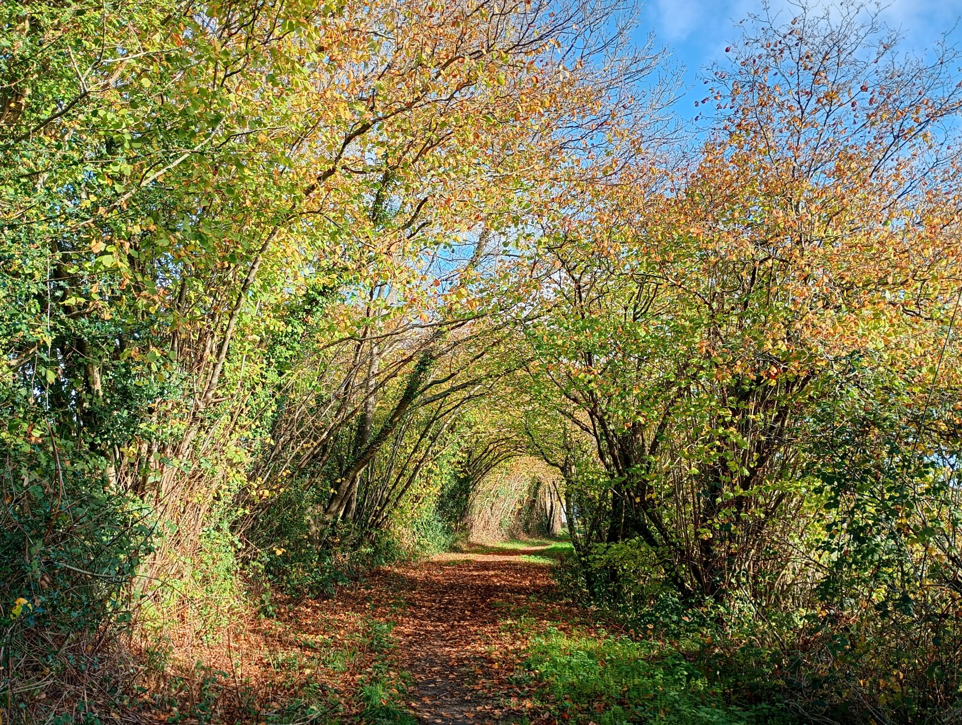 West Kent Walking group Lamberhurst circular 2